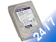 HDD-WD101PURP